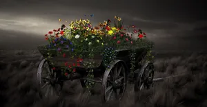 Colorful Flower Cart In A Picturesque Setting Wallpaper