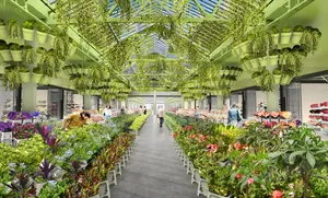 Colorful Flower Stalls At The Market Wallpaper