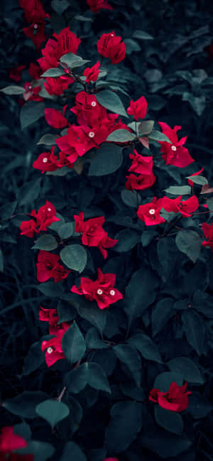 Colorful Flowers Set Against A Blue Sky Wallpaper