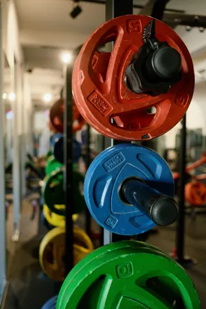 Colorful Gym Weight Plates Wallpaper