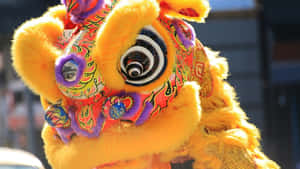 Colorful Lion Dance Costume Wallpaper