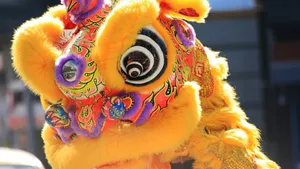 Colorful Lion Dance Costume Wallpaper