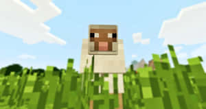 Colorful Minecraft Sheep In A Lush Green Field Wallpaper