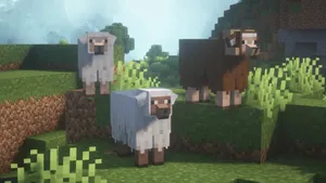 Colorful Minecraft Sheep In Their Natural Habitat Wallpaper