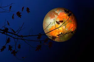 Colorful Moon Night Sky Wallpaper