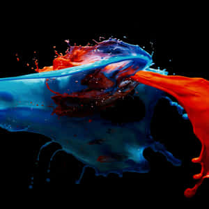 Colorful Paint Splashon Black Background Wallpaper