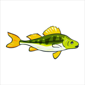 Colorful Perch Illustration Wallpaper