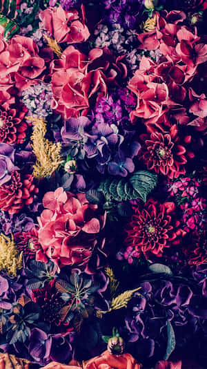 Colorful Pink And Purple Flowers Iphone Wallpaper