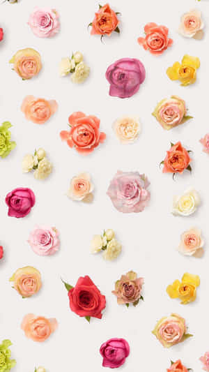 Colorful_ Roses_ Pattern_ Background Wallpaper