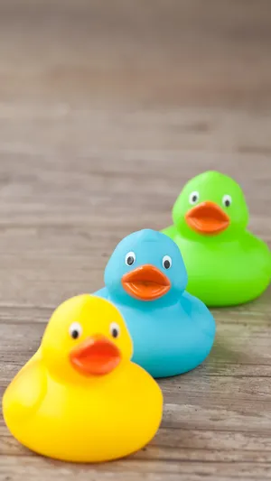Colorful Rubber Ducksina Row Wallpaper