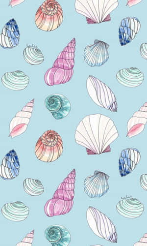 Colorful Seashell Pattern Illustration Wallpaper