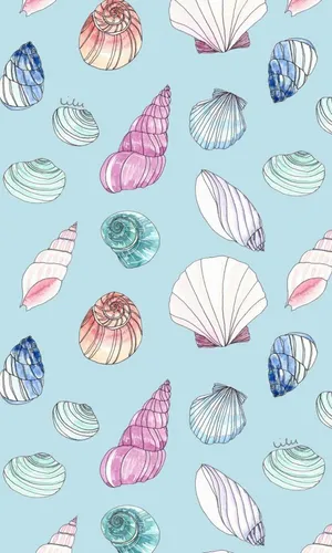 Colorful Seashell Pattern Illustration Wallpaper