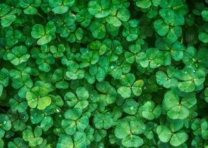 Colorful Strips Of Light Wallpaper