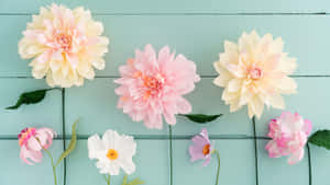 Colorful Sunrise Over Hills Wallpaper