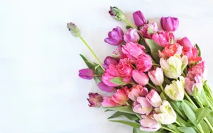 Colorful Tulips Bouquet Top View Wallpaper