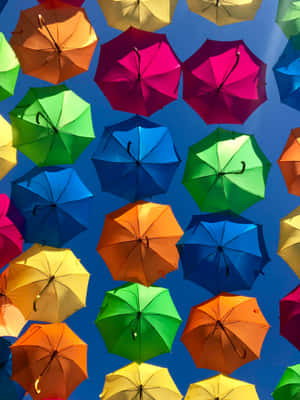 Colorful Umbrella Canopy Sky Wallpaper