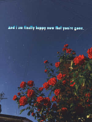 Colorful Vintage Grunge Aesthetic Wallpaper