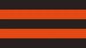 Colors Of Cleveland Browns Wallpaper