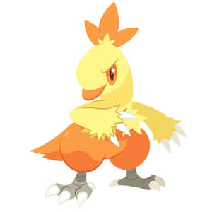 Combusken Chibi Style Wallpaper