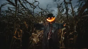 Come And Join The Scarecrow Band Wallpaper