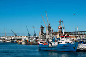 Commercial Harbor Activity Wallpaper