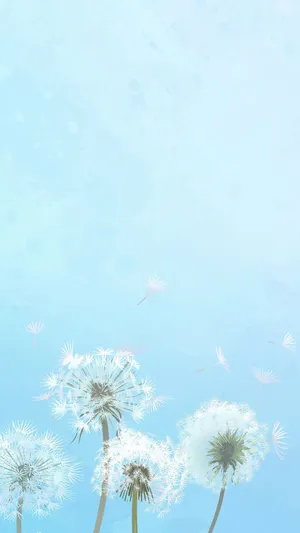 Common Dandelions On Baby Blue Sky Wallpaper