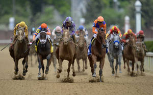 Competitive Horses Aligned For The Spectacular Race Wallpaper