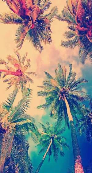 Completely Customize Your Iphone 5s With A Dynamic Look Wallpaper