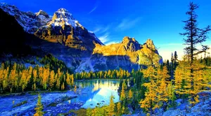 Complimentary Lakeside Wallpaper