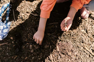 Compost Pile With Various Organic Matter And Gardening Tools Wallpaper