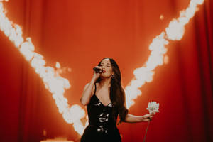 Concert Performance Kacey Musgraves Wallpaper