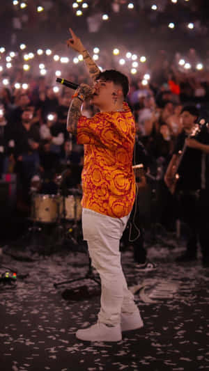 Concert Performance Singer Raised Hand Wallpaper
