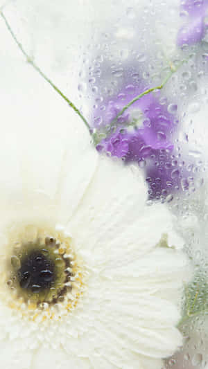 Condensation Floral Art.jpg Wallpaper