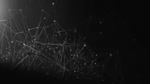 Connected Abstract Minimalist Lines Wallpaper