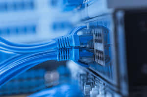 Connecting Devices With Ethernet Wallpaper