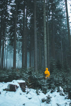 Conspicuous Man In The Forest Wallpaper