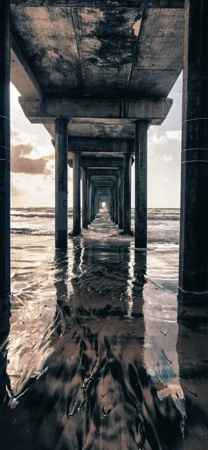 Contemporary Underneath Dock Wallpaper