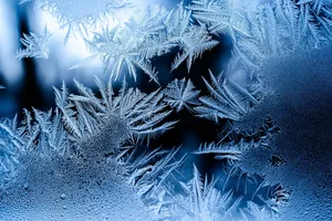 Contemptuous Frost Hd Wallpaper