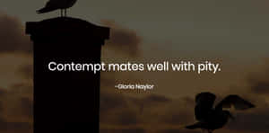 Contemptuous Quote By Gloria Naylor Wallpaper