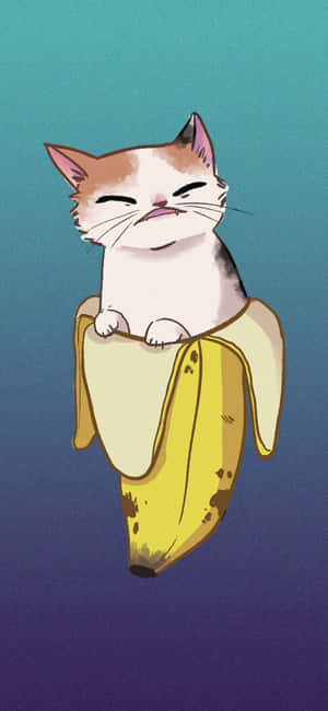 Contented Catin Banana Peel Wallpaper