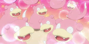 Contented Slowbros Wallpaper