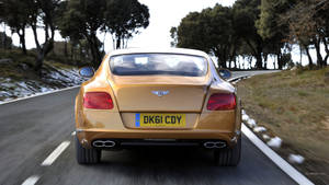 Continental Gt Bentley Hd Tail Wallpaper