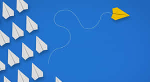 Contrarian Paper Plane Wallpaper