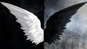 Contrasting_ Angel_ Wings_ Vintage_ Goth_ Aesthetic.jpg Wallpaper