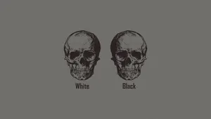 Contrasting Skulls Aesthetic Wallpaper