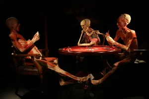 Controversial Bodies Exhibition Wallpaper