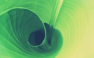 Convoluted Leaf Wallpaper