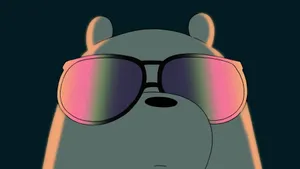 Cool Bear With Sunglasses Wallpaper