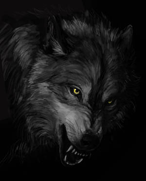 Cool Black Wolf Growling Wallpaper