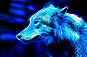 Cool Blue Wolf Purple Desktop Wallpaper